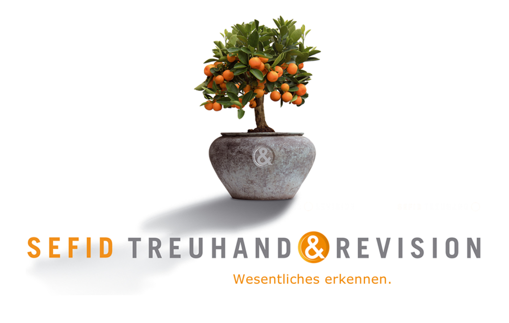 SEFID Treuhand & Revision